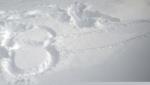 Pucazzo di neve 2