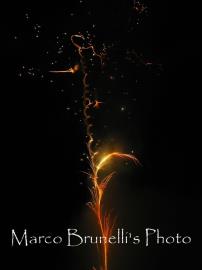 felice2011
